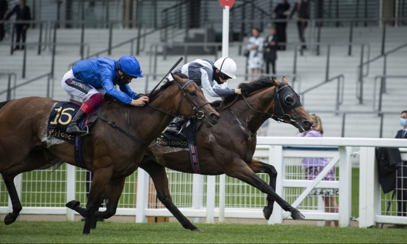
                        Circus Maximus winning the Gr.1 Queen Anne Stakes at Royal Ascot
                         