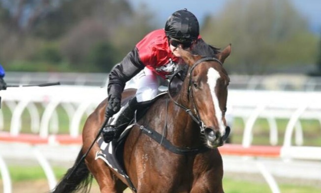 
                          Gr.1 Livamol Classic winner MUSTANG VALLEY (Vanbrugh ex. Cream of the Crop)
                          