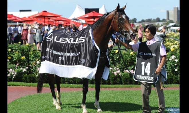 
                        ShamExpress after winning the Gr.1 Newmarket Handicap
                        
                         