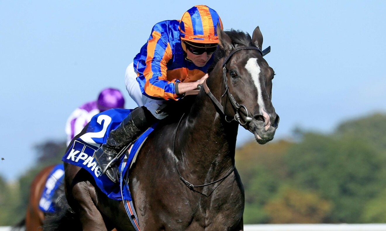 
                        Auguste Rodin winning The Futurity Stakes Gr.1 
                         