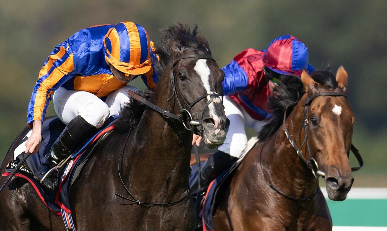 
                        Auguste Rodin winning The Irish Champion Stakes Gr.1
                         