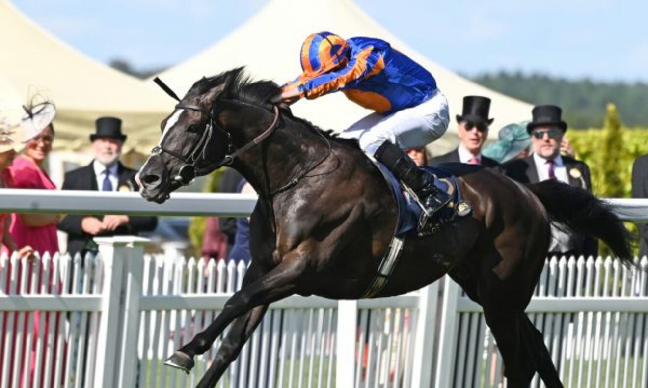 
                        Auguste Rodin winning The Derby Gr.1 
                         